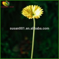 Real touch flower artificial giant Gerbera home and garden decorative gerbera flower